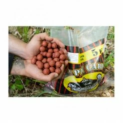 Baracuda Fishing Tackle Carp Fishing W.C.C Champion Misel Zdravec Boilies 9 Baracuda Fishing Tackle Carp Fishing W.C.C Champion Misel Zdravec Boilies