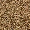 Baracuda Fishing Tackle Hemp Seeds Bulk Bag 30kg 1 Baracuda Fishing Tackle Hemp Seeds Bulk Bag 30kg