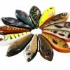Baracuda Fishing Tackle Westin Swim Glidebait 10 Cm Predator Fishing