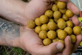 Baracuda Fishing Tackle Carp Fishing W.C.C Champion Misel Zdravec Boilies 6 Baracuda Fishing Tackle Carp Fishing W.C.C Champion Misel Zdravec Boilies