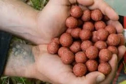 Baracuda Fishing Tackle Misel Zadravec Boilies 9 Baracuda Fishing Tackle Misel Zadravec Boilies