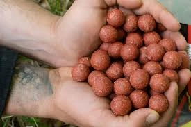 Baracuda Fishing Tackle Misel Zadravec Boilies 5 Baracuda Fishing Tackle Misel Zadravec Boilies