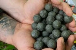 Baracuda Fishing Tackle Carp Fishing W.C.C Champion Misel Zdravec Boilies