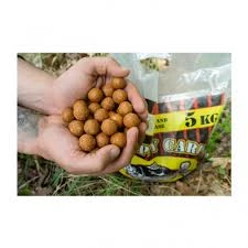Baracuda Fishing Tackle Carp Fishing W.C.C Champion Misel Zdravec Boilies