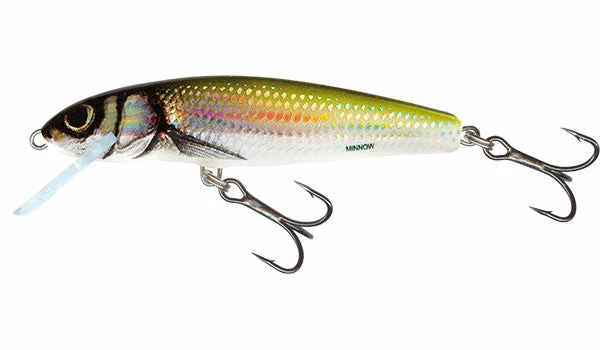 Baracuda Fishing Tackle Salmo Minnow Perch Lures & Softbaits 4 Baracuda Fishing Tackle Salmo Minnow Perch Lures & Softbaits