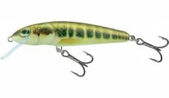 Baracuda Fishing Tackle Salmo Minnow Perch Lures & Softbaits 11 Baracuda Fishing Tackle Salmo Minnow Perch Lures & Softbaits