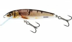 Baracuda Fishing Tackle Salmo Minnow Perch Lures & Softbaits 15 Baracuda Fishing Tackle Salmo Minnow Perch Lures & Softbaits