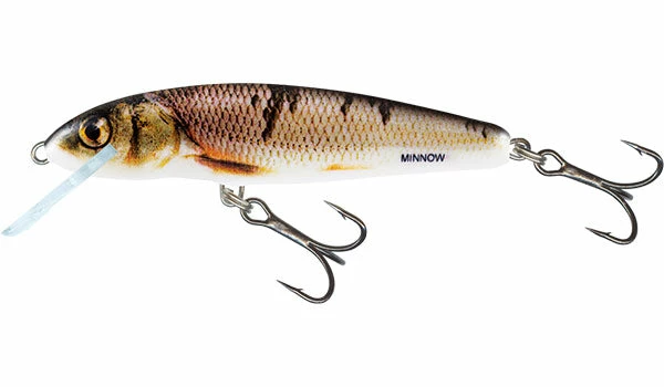 Baracuda Fishing Tackle Salmo Minnow Perch Lures & Softbaits 9 Baracuda Fishing Tackle Salmo Minnow Perch Lures & Softbaits
