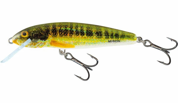 Baracuda Fishing Tackle Salmo Minnow Perch Lures & Softbaits 6 Baracuda Fishing Tackle Salmo Minnow Perch Lures & Softbaits