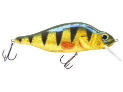 Hester Monster Polish Perch Predator Fishing