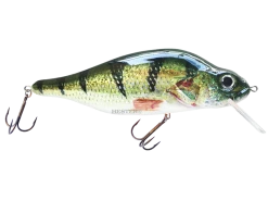 Hester Monster Polish Perch Predator Fishing