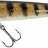 Predator Fishing Salmo Sweeper 17 Limited