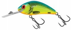 Salmo Rattlin`Hornet Predator Fishing